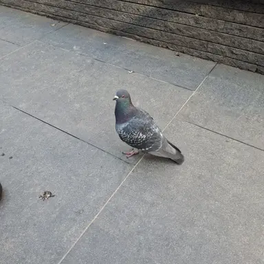 Profile image of 김서연