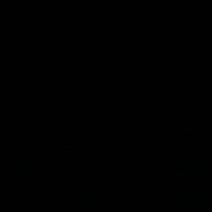 김동현