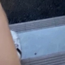 ばんさん