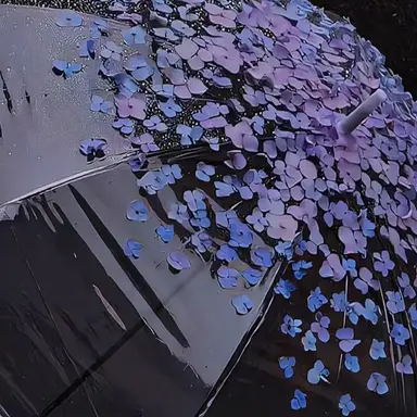 Profile image of スンチョル