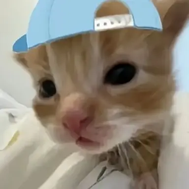Profile image of 오지연