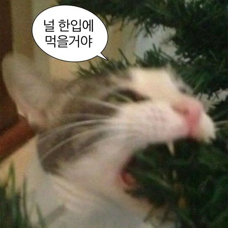 AlienMeno6338의 오너캐들과 동거하긩 1