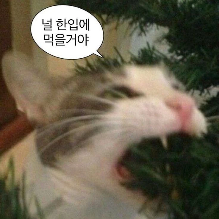 리트