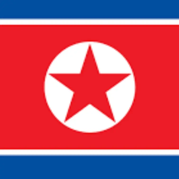 NosyAidi6645의 북한에서 살아남기