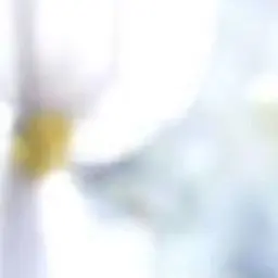 Profile image of サンヒョン
