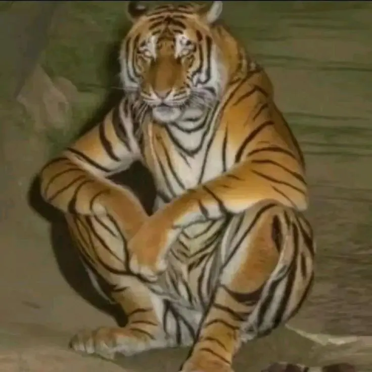 SONS0812의 남자친구2호