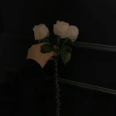 Profile image of 도준