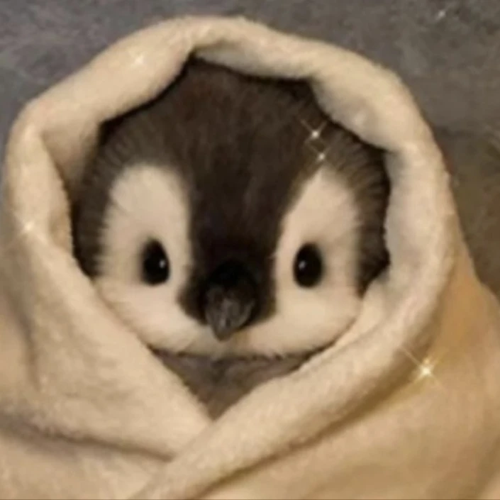 앵고