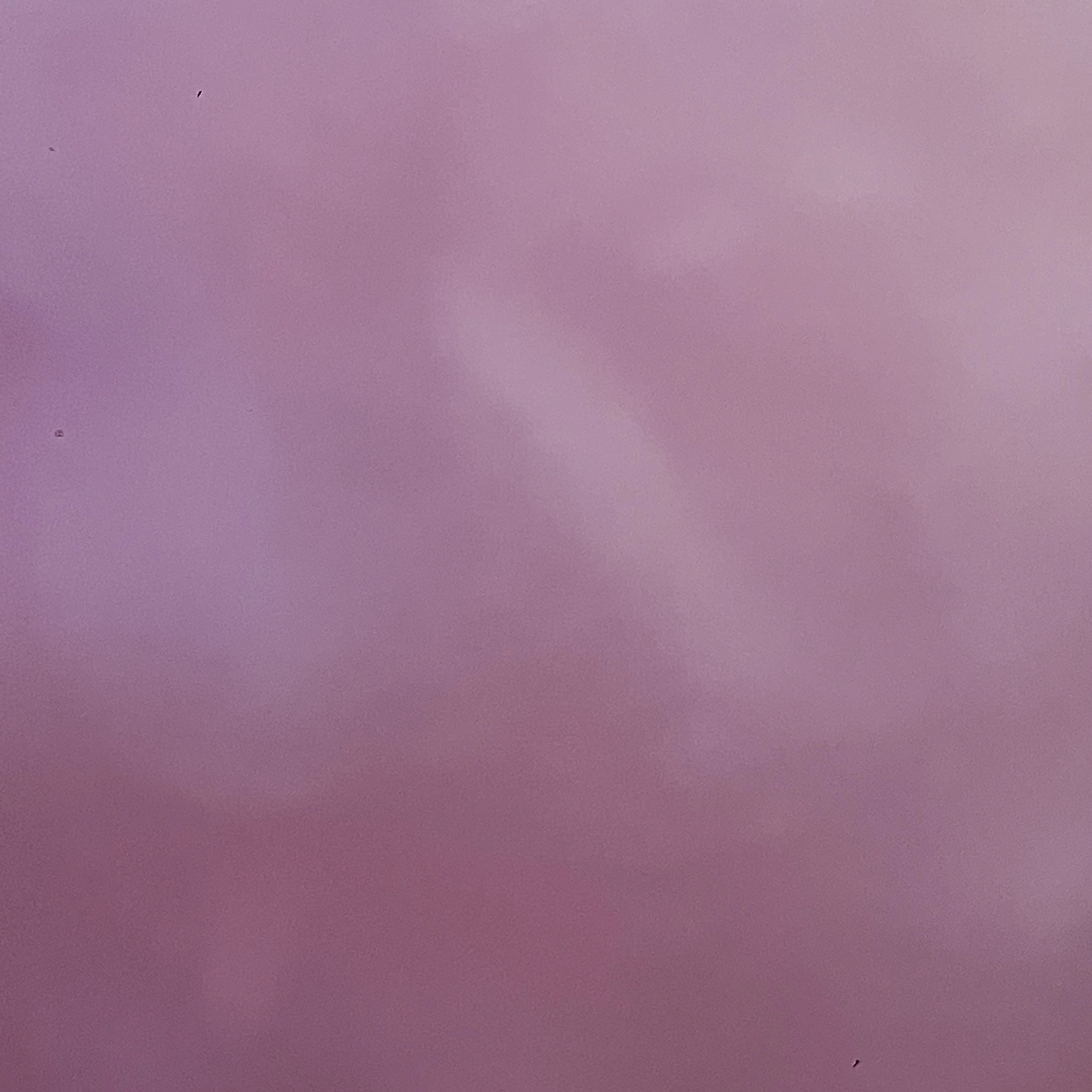 평학