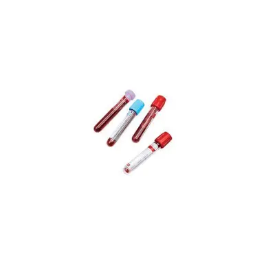 Profile image of 밤피르