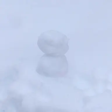 Profile image of みゆ