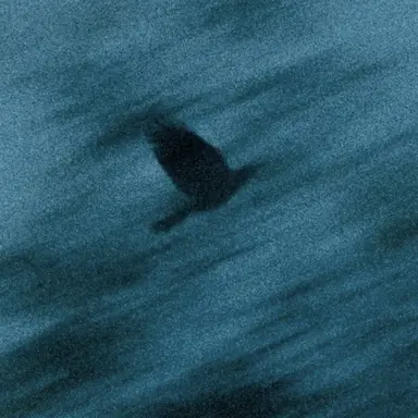 Profile image of Na Hwajin