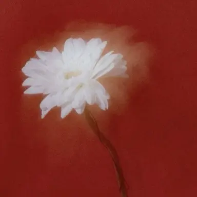 Profile image of Keum Seongje
