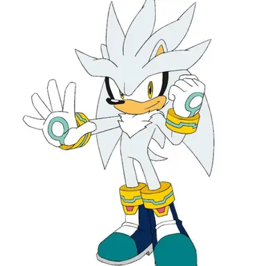 Profile image of シルバー