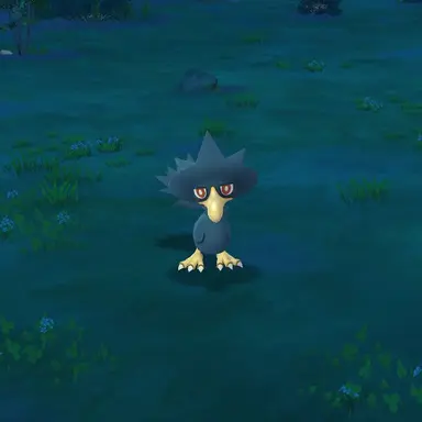 Profile image of Callum