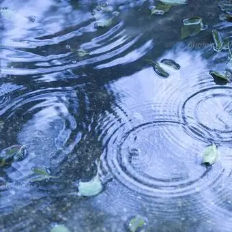 mtp_love의 『 雨 っ て い い よ な 。』