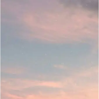 jdhdhhhajhhai의 꽃