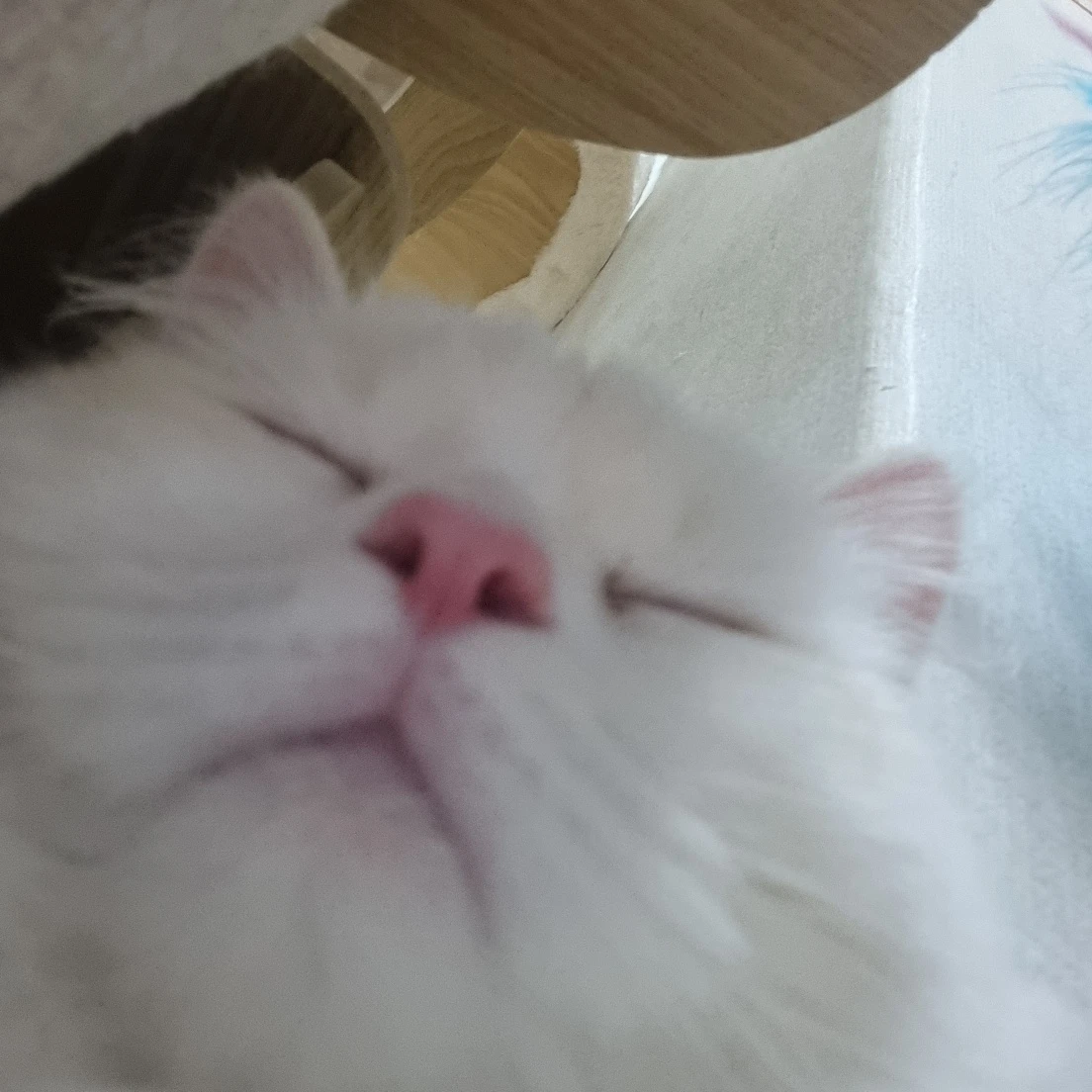 우유