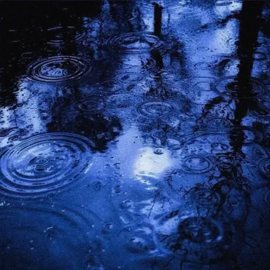 Profile image of 청달래