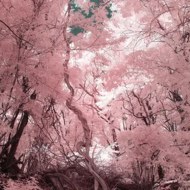 Profile image of 밥풀
