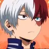 Profile image of Shoto Todoroki