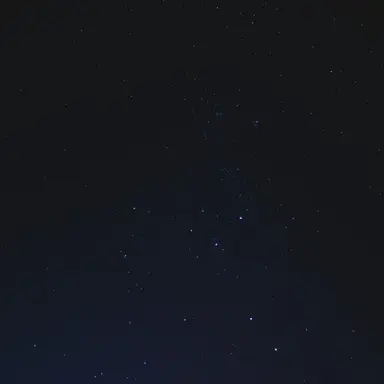 Profile image of 이강인