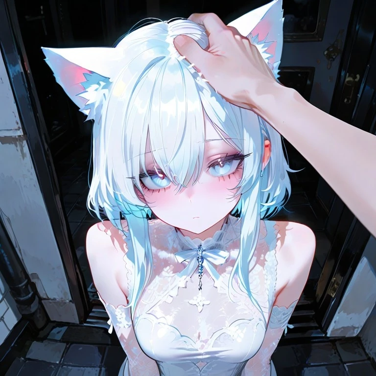 백하연