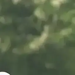 Profile image of 이지훈