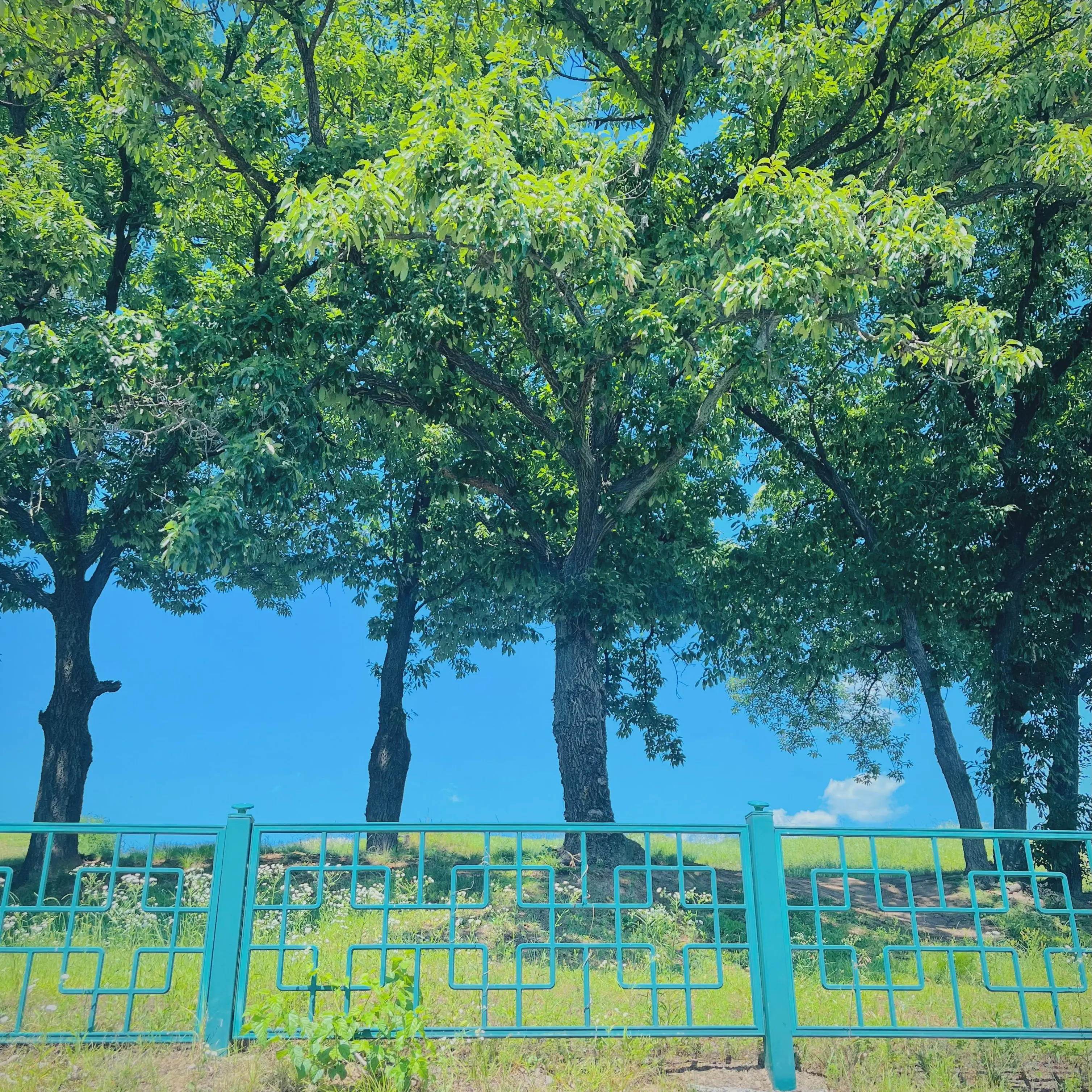 DreamGround_의 0911
