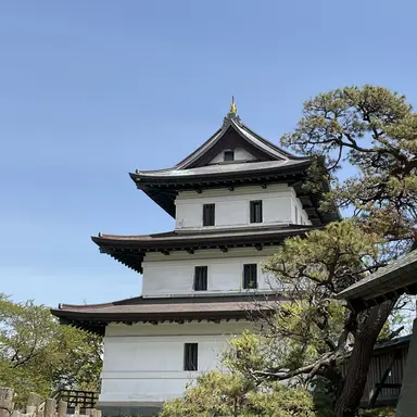 Profile image of キモ男