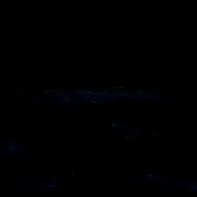 Profile image of 쌍둥이 편