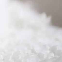 Profile image of ニーチェ