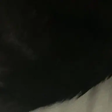 Profile image of クロ