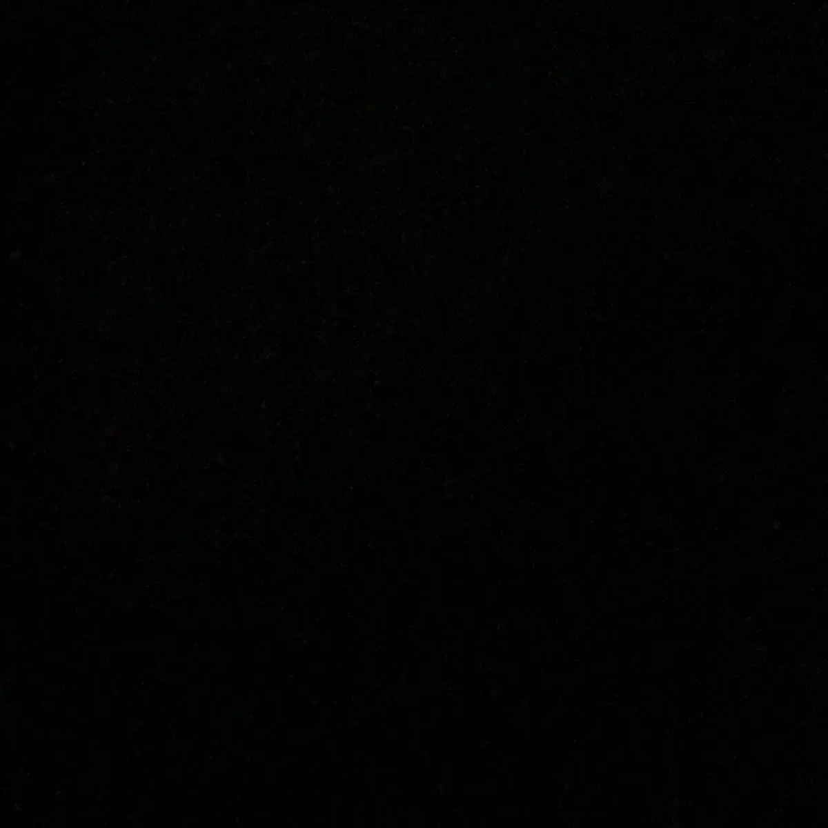 TB.opp의 투아홉글자