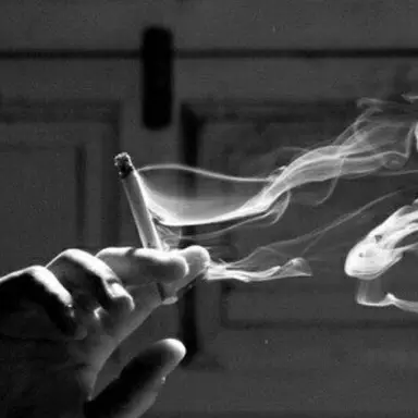 Profile image of 서일공