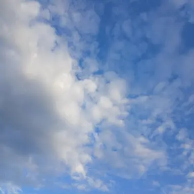 Profile image of ...