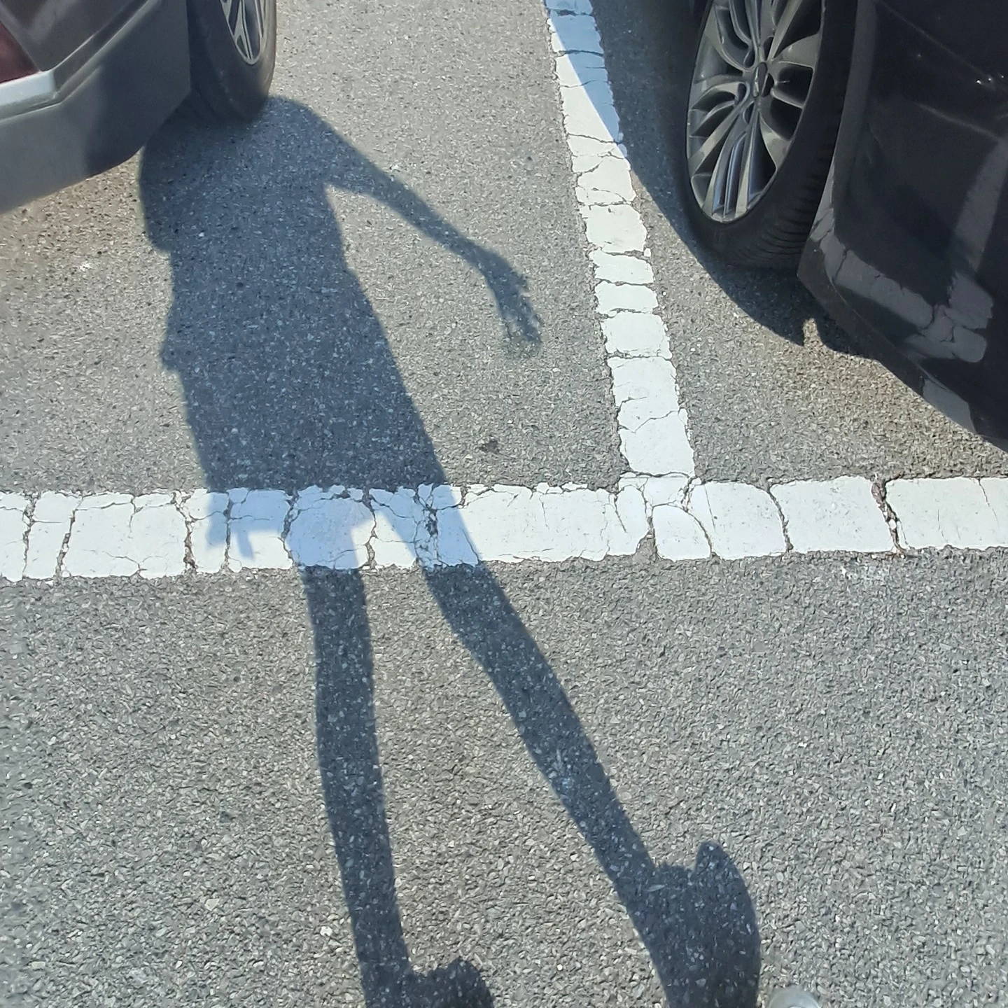 수학여행