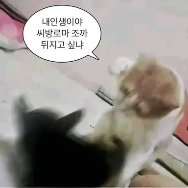 Profile image of Kim Gakbyeol