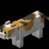 Profile image of 삼색냥