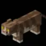 Profile image of 태비냥