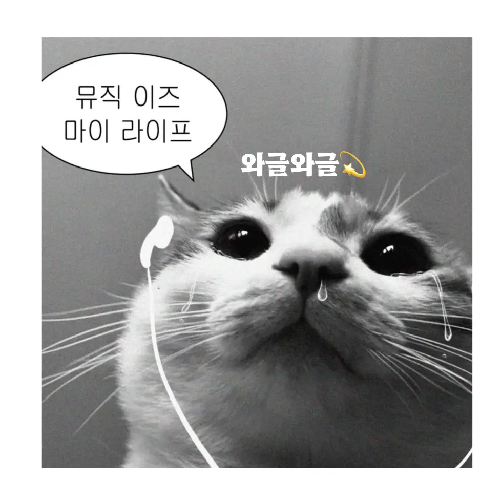 FitRipe9148의 오늘의 노래 추천🎧룰루랄라 와글이
