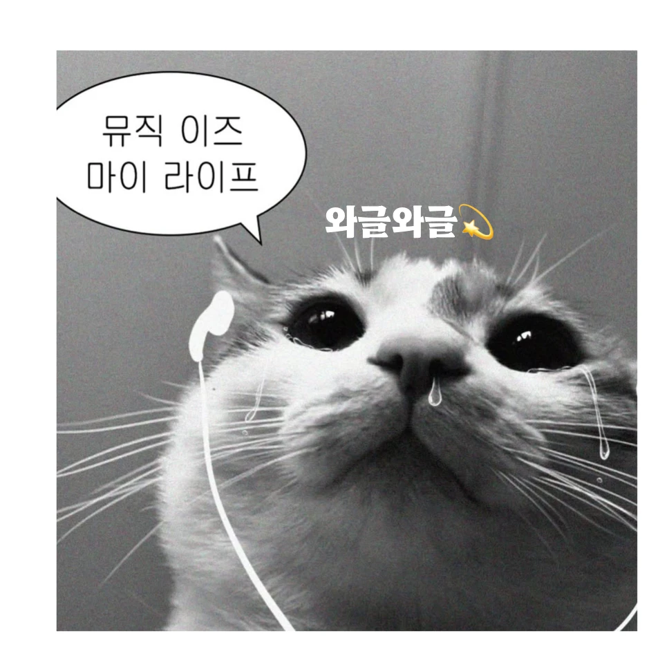 룰루 랄라 와글이