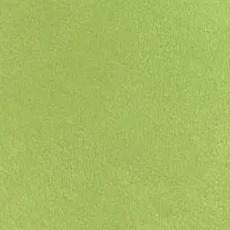 ehdgh141LOVE의 정 공룡
