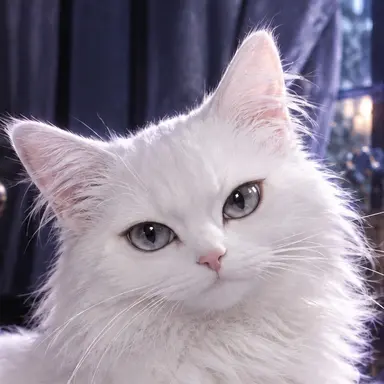 Profile image of Michael