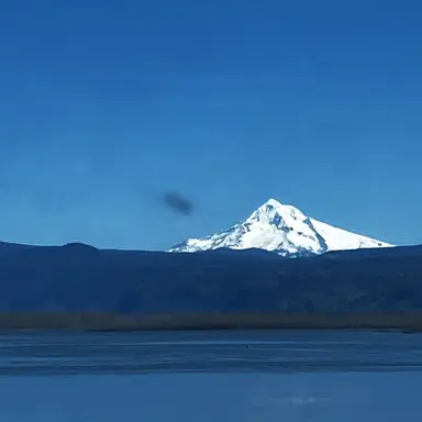 Profile image of Draco malfoy