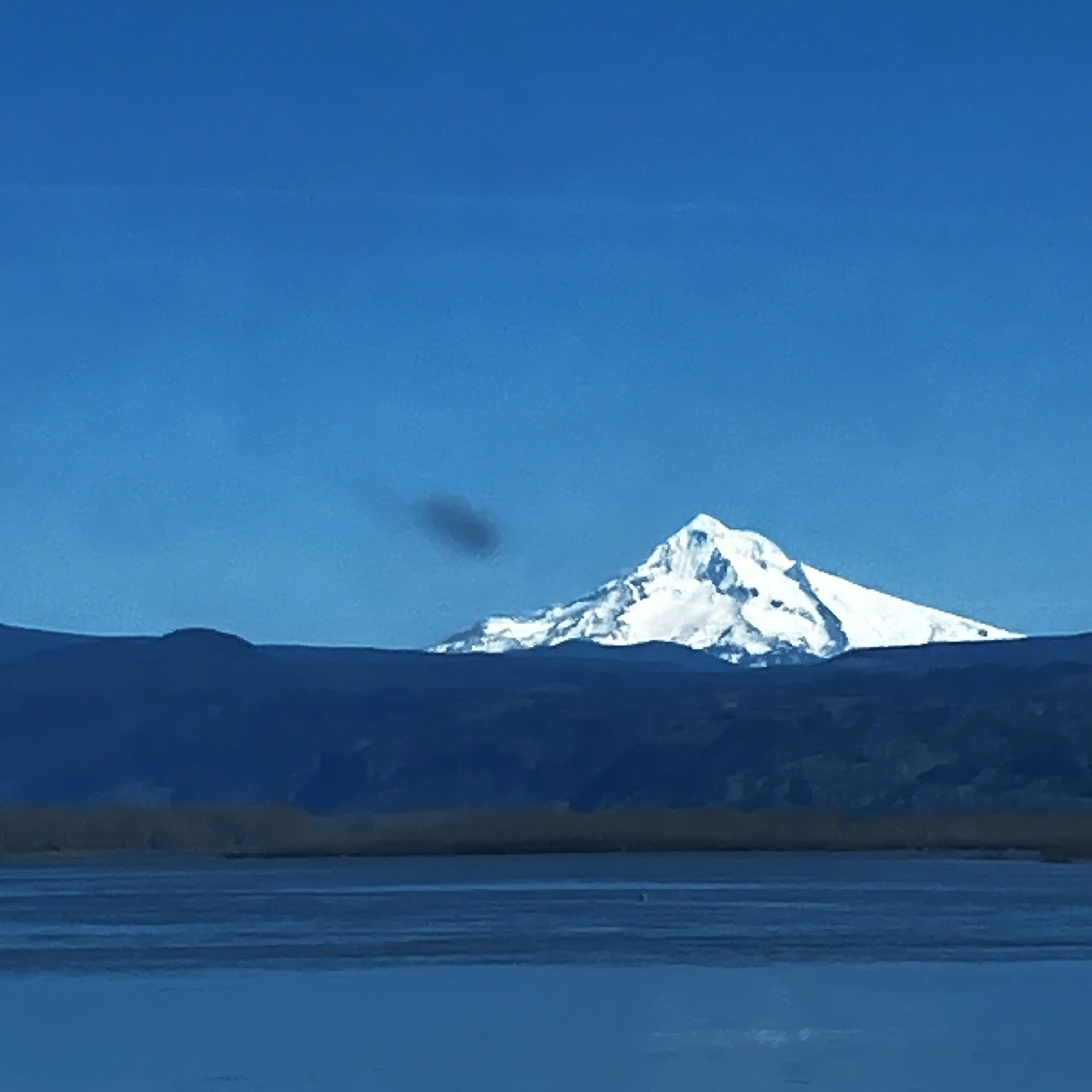 WiseDice9005의 Chrush