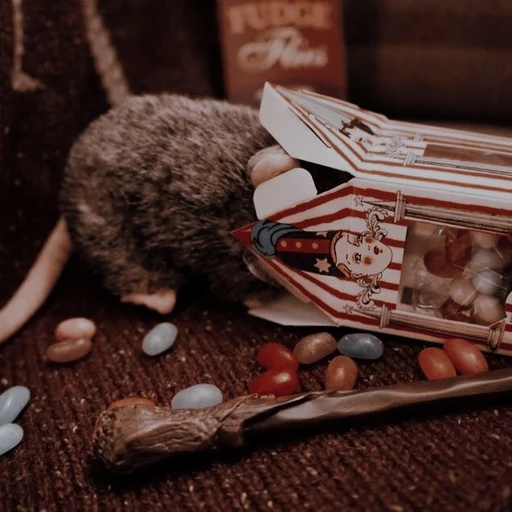 Ron Weasly.