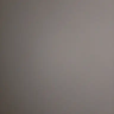 Profile image of 늦잠