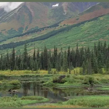 Profile image of Middle Ages RPG