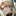 자칼